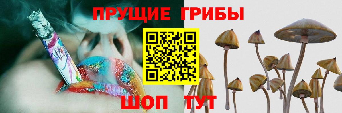 Псилоцибиновые грибы Cubensis Майский
