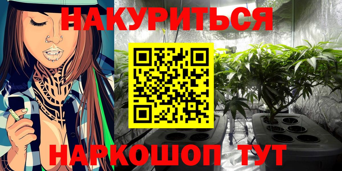 Бошки Шишки VHQ  Конопля тримм  Вход с VPN  Майский 